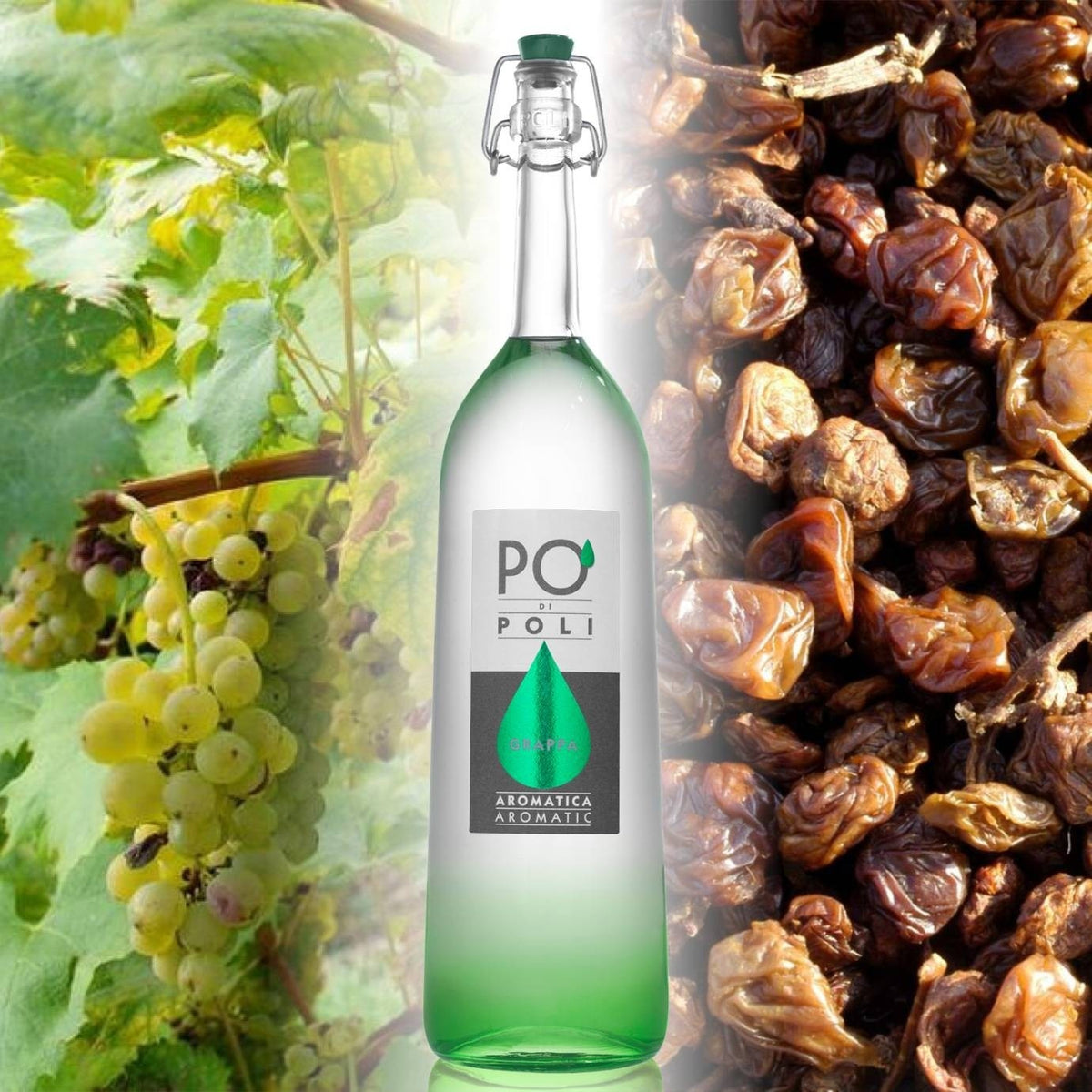 Grappa Aromatica Traminer 70 cl ast.