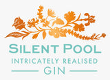 Gin Silet Pool Intricately Realised 70 cl