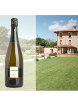 Franciacorta Brut 75 cl Ast.