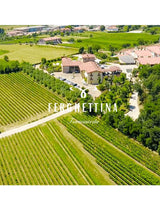 Franciacorta Brut 75 cl