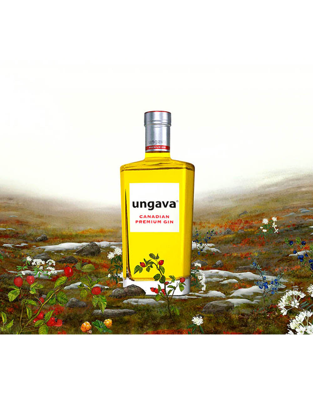 Canadian premium Gin