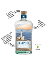 Gin Puntamari 70 cl