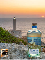 Gin Puntamari 70 cl