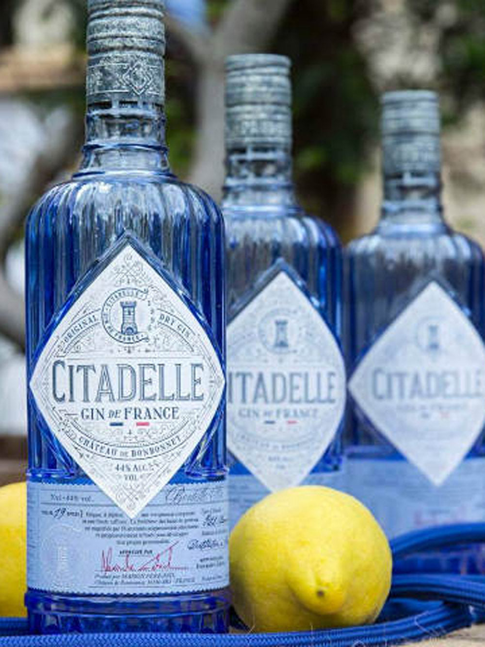 Gin De France 70 cl