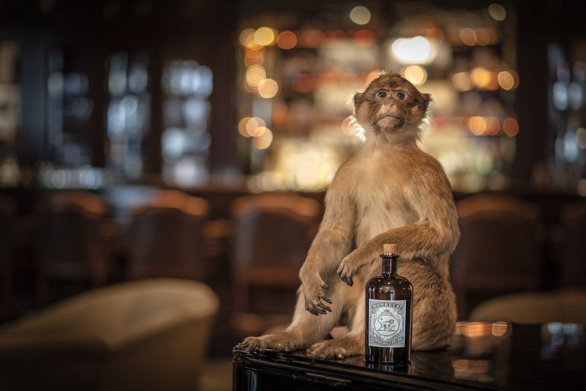 Gin Monkey 47 Schwarzwald 50cl