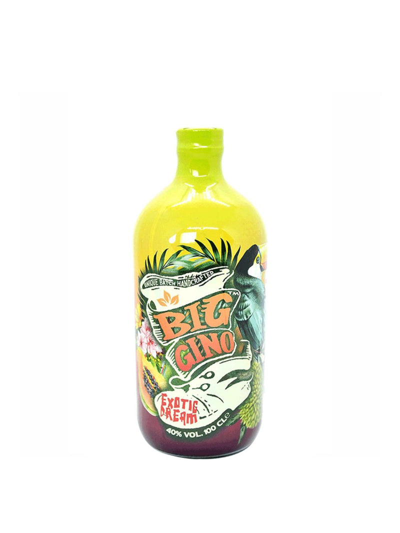 Big Gino Gin Exotic Dream 1Lt