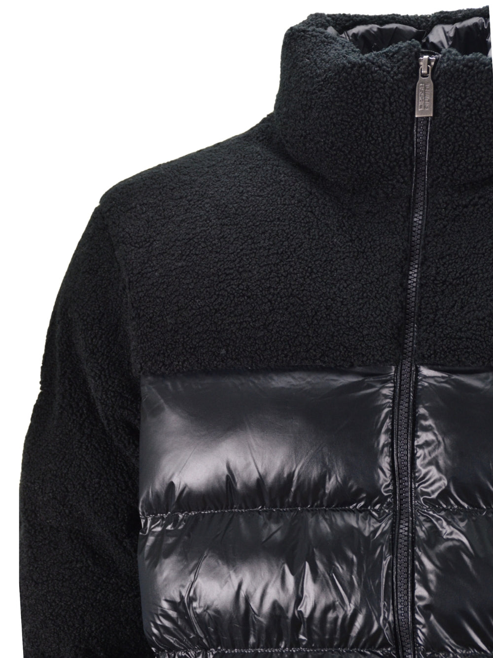 Fegen Hybrid Teddy Nero