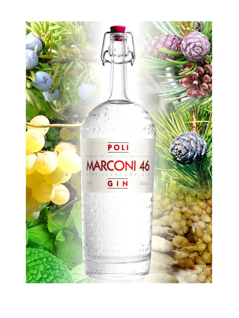 Gin Marconi 46