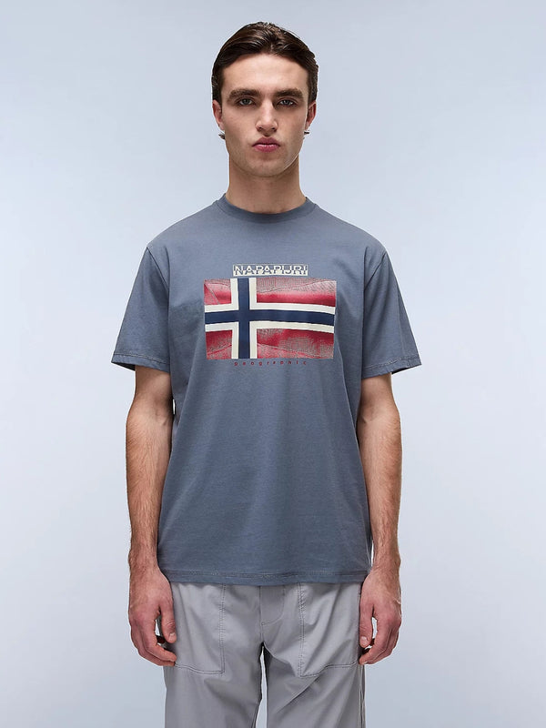 T-shirt Grigia Lari