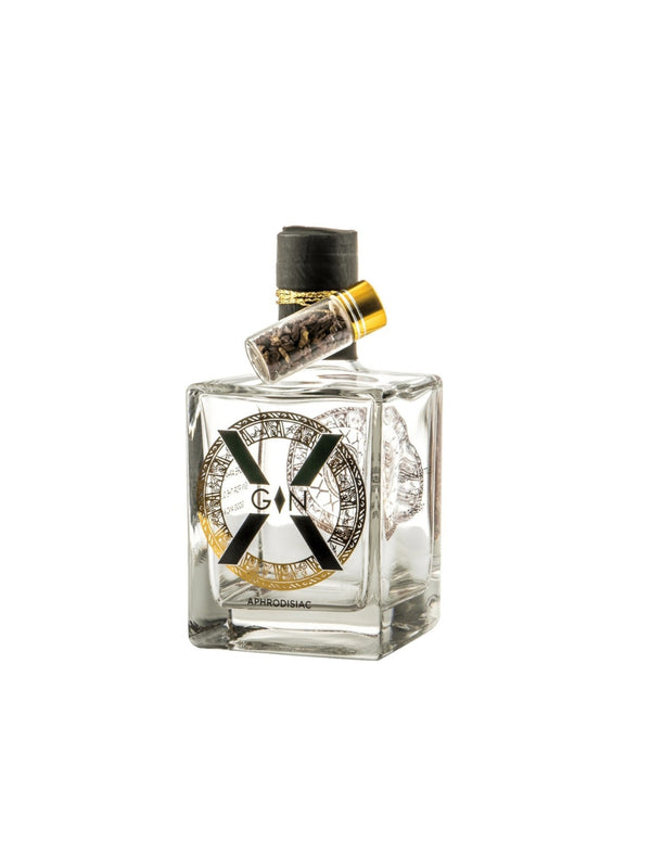 X-GIN